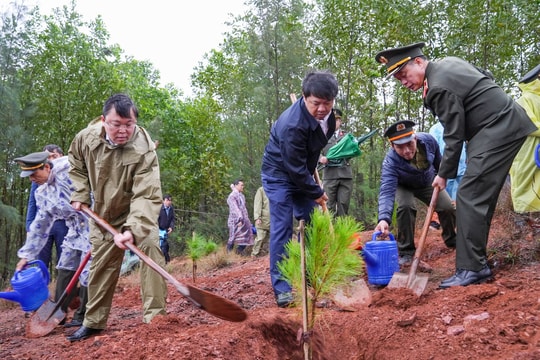 Chung sức "Trồng mới một tỷ cây xanh"