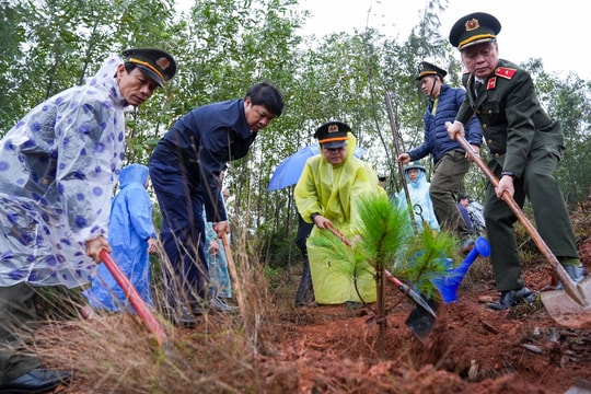 Quảng Nam phấn đấu trồng hơn 11,1 triệu cây xanh trong năm 2025