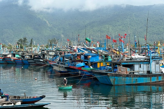 Cộng đồng chung tay bảo vệ nguồn lợi thủy sản