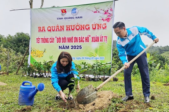 Tuổi trẻ Quảng Nam hưởng ứng Tết trồng cây “Đời đời nhớ ơn Bác Hồ”