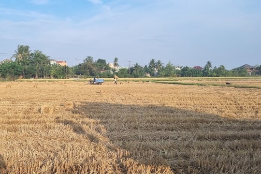 Quảng Nam phấn đấu hoàn thành việc kiểm kê đất đai ở cấp xã trước ngày 20/3/2025