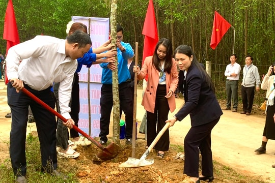 Quế Sơn đã trồng gần 3,1 triệu cây xanh giai đoạn 2021 - 2025