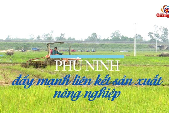 [VIDEO] - Phú Ninh đẩy mạnh liên kết sản xuất nông nghiệp