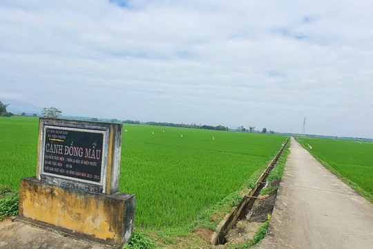 Điện Phước xây dựng làng quê đáng sống