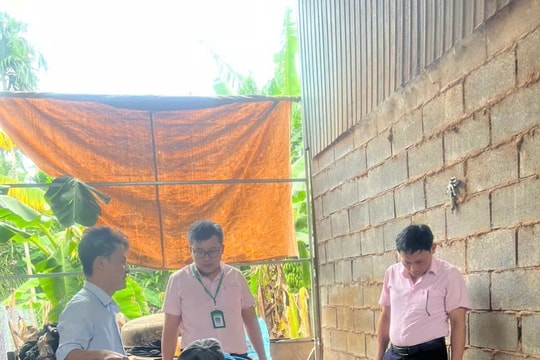 Vốn vay chính sách, "đòn bẩy" thoát nghèo ở Đại Lộc