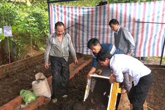 Thí điểm nuôi trùn quế tuần hoàn tại Tiên Châu