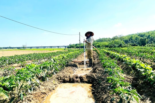 Sát cánh cùng nông dân, Duy Xuyên đẩy mạnh tái cơ cấu nông nghiệp