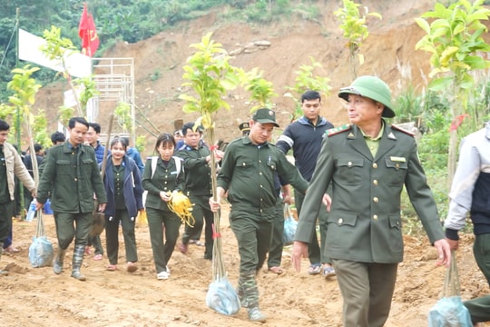 Nam Trà My phát động Tết trồng cây đời đời nhớ ơn Bác Hồ