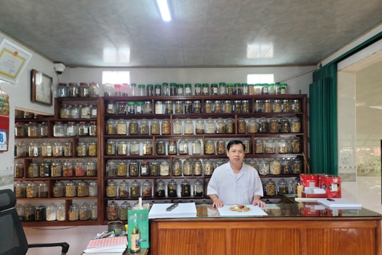 Lương y Bùi Quang Nhẫn: Tiếp nối nguồn mạch y học cổ truyền