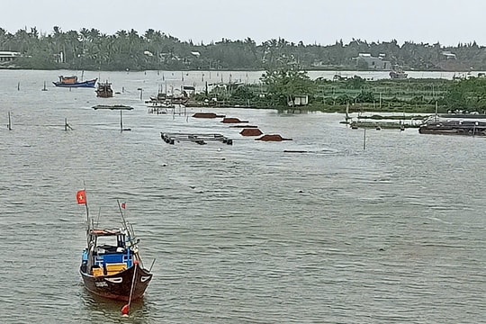 Núi Thành bảo vệ chất lượng nguồn nước sông, hồ