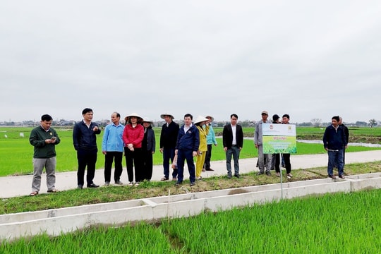 Hội Nông dân tỉnh Quảng Nam kiểm tra các mô hình sản xuất vụ đông xuân
