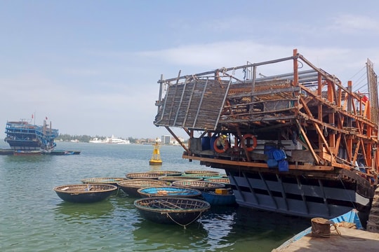 Ngư dân Núi Thành rộn ràng xuất bến đầu năm