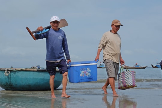 Mùa xuân trên bãi ngang