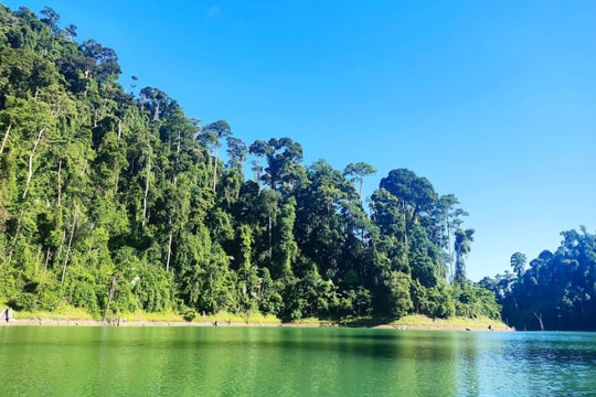 Nam Giang tăng cường quản lý, bảo vệ rừng