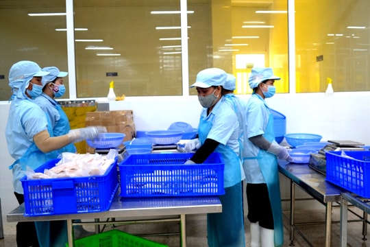 Xuất khẩu nông lâm - thủy sản cả nước tháng 1/2025 giảm 4,9% so với cùng kỳ