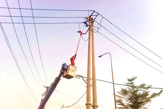 Điện lực Núi Thành hoàn thành công trình cấp điện cho khách hàng lớn sau Tết Ất Tỵ
