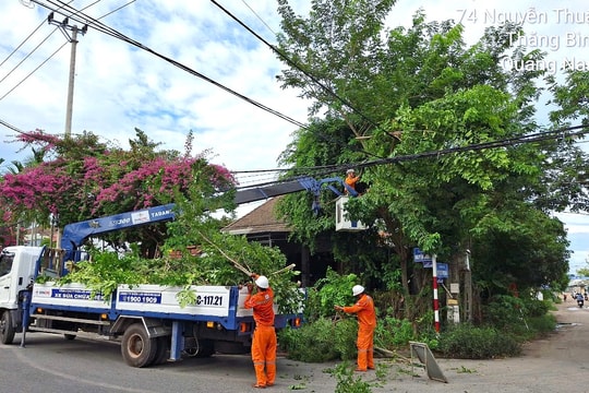 Công ty Điện lực Quảng Nam triển khai công tác phòng chống thiên tai năm 2025