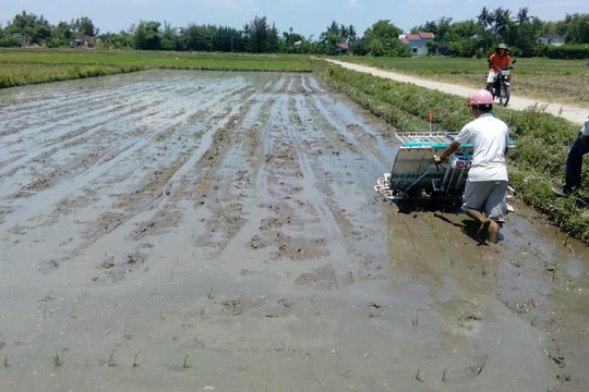 Đổi thay của nông nghiệp, nhìn từ thay đổi về đất đai