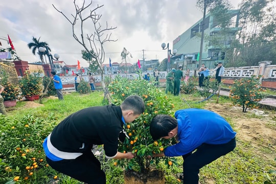 "Vườn quật tri ân" ở Điện Minh