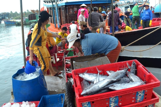 EU gửi 12 cảnh báo đối với thực phẩm nông - thủy sản xuất khẩu nước ta