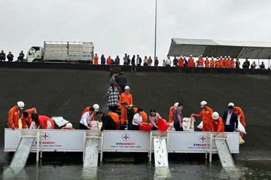 Thả hơn 24.500 cá giống xuống lòng hồ thủy điện Sông Tranh 2