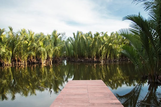 Top 6 địa điểm cắm trại Quảng Nam được săn đón nhiều nhất