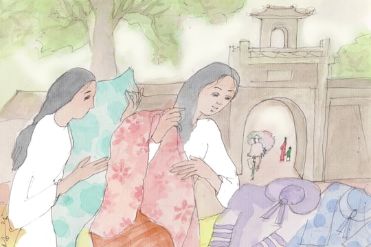 Con đường dài nhất…