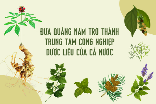 Đưa Quảng Nam trở thành trung tâm công nghiệp dược liệu của cả nước