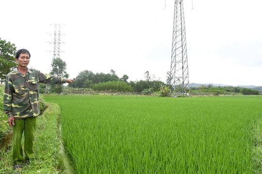 Đẩy nhanh triển khai dự án ở Núi Thành