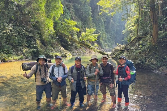 Quảng Nam kêu gọi đầu tư loạt dự án du lịch trọng điểm năm 2025