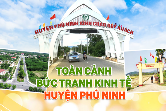 Toàn cảnh bức tranh kinh tế huyện Phú Ninh