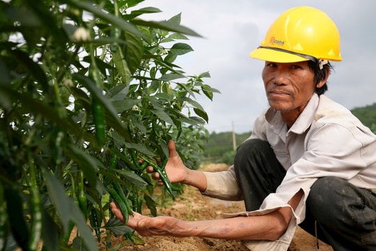 Duy Châu nỗ lực cán đích xã nông thôn mới nâng cao