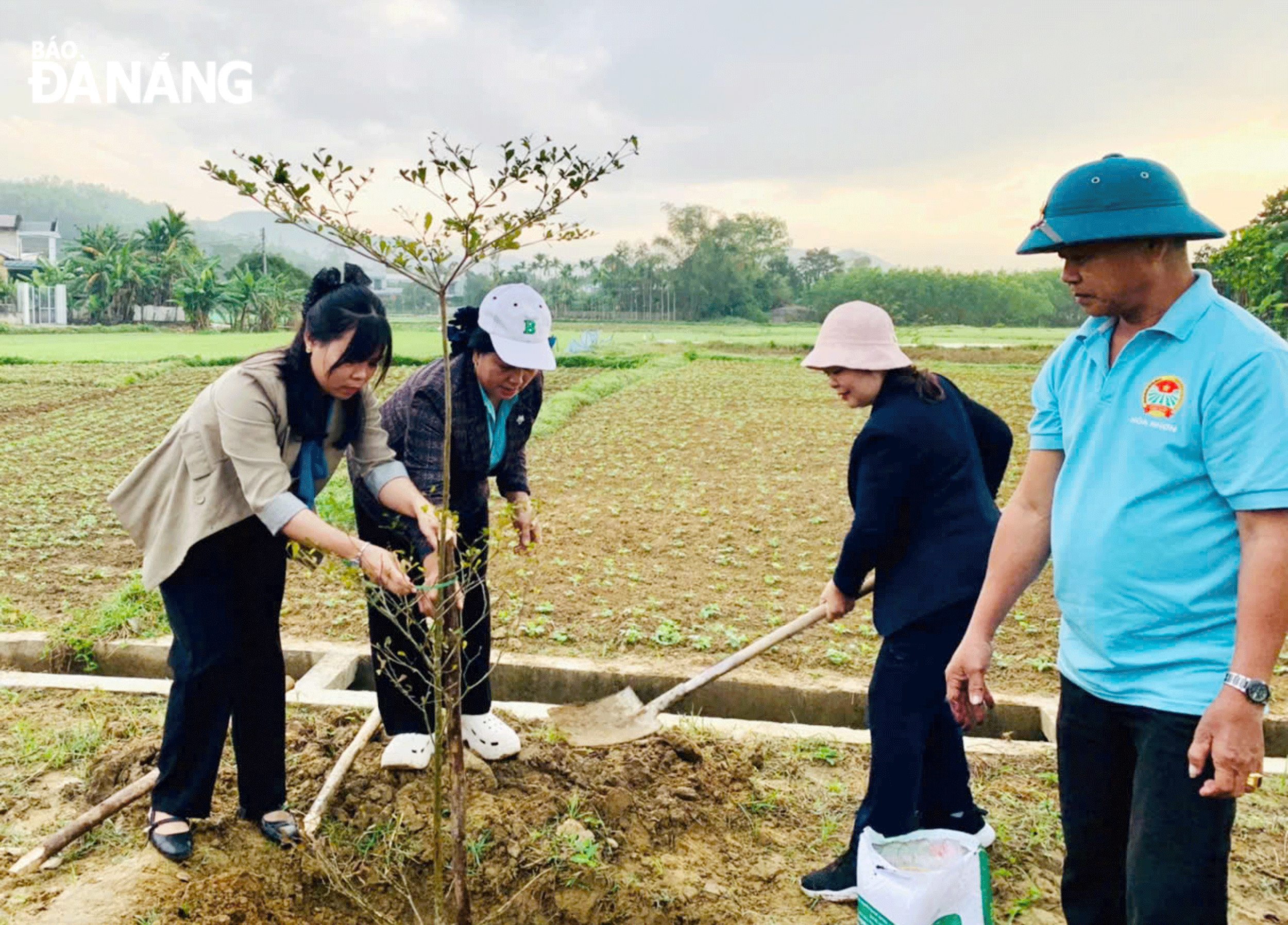 Hòa Vang huy động nguồn lực hoàn thiện các tiêu chí môi trường đô thị loại 4