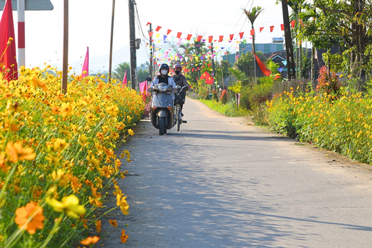 Nữ đảng viên ở Tam Thái hai lần hiến đất xây dựng nông thôn mới