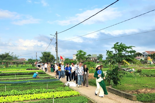 Famtrip cung đường di sản Hội An - Mỹ Sơn - Cổng Trời Đông Giang