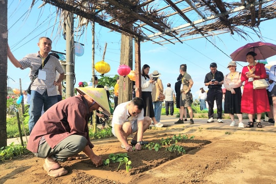 Định vị thương hiệu du lịch xanh xứ Quảng: Xác định giá trị bản địa đặc thù