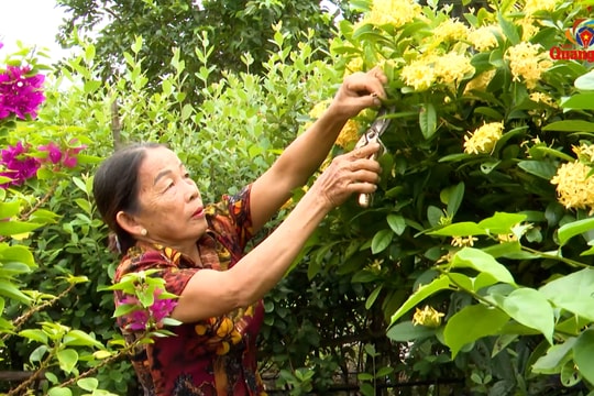 Phú Ninh bứt tốc hoàn thành đạt chuẩn huyện nông thôn mới nâng cao