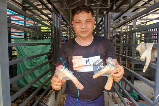 Triển vọng mô hình nuôi hươu sao ở Nam Giang