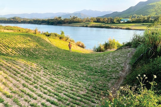 Mùa giêng bình yên với làng