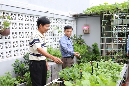 Thúc đẩy phát triển nông nghiệp đô thị bền vững