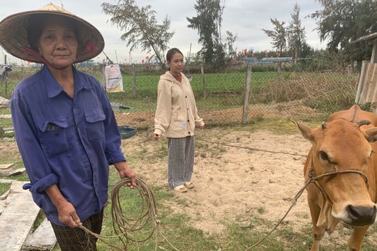 Hành trình chữa lành nỗi đau da cam - Bài 1: "Những thân thể nhiễm độc"