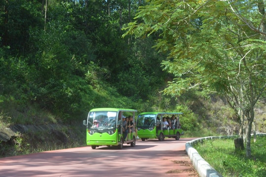 Đề nghị Nhật Bản hỗ trợ xây dựng tuyến tàu điện trung chuyển khách vào di tích Mỹ Sơn