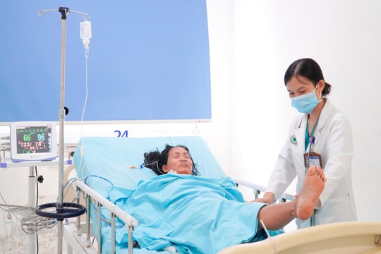 Cứu sống bệnh nhân nguy kịch do ngộ độc cá nóc