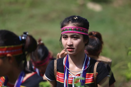 Lang thang miền rừng