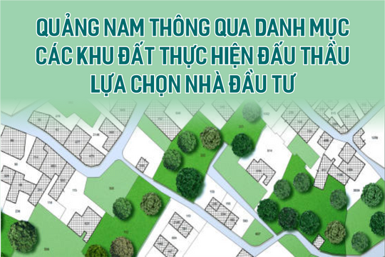 Quảng Nam thông qua danh mục các khu đất thực hiện đấu thầu lựa chọn nhà đầu tư