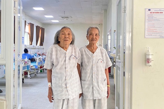 Thay van động mạch chủ phức tạp cho hai bệnh nhân lớn tuổi