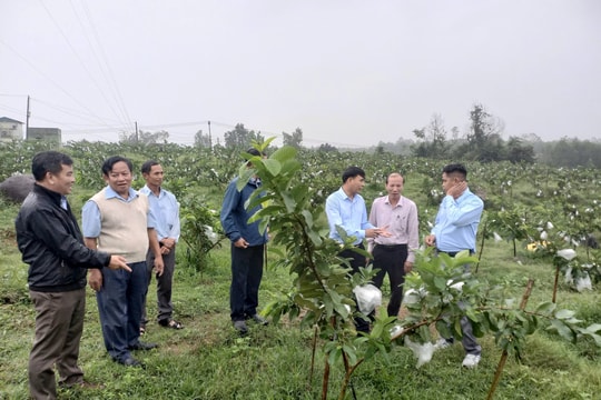 Quế Sơn phát triển nông nghiệp xanh kết hợp du lịch sinh thái