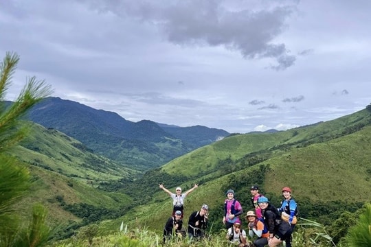 Dalat Tours: Tận hưởng trọn vẹn vẻ đẹp của Đà Lạt với hành trình độc đáo