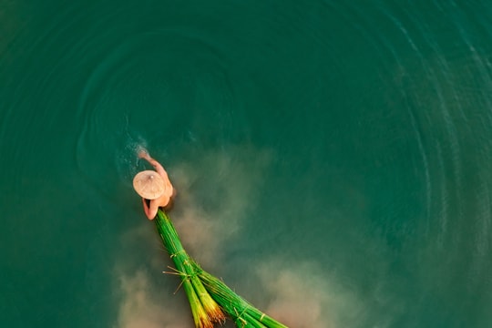 Vẻ đẹp Việt Nam qua lăng kính nhiếp ảnh gia