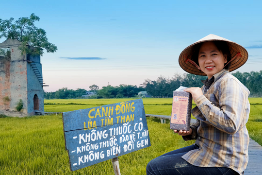 [Podcast] - Hành trình khởi nghiệp của Lê Thị Thanh Nga, từ lò gạch cũ đến farmstay xanh